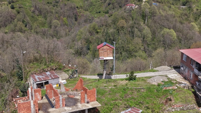 Çocukluk hayalini 25 yıl sonra gerçekleştirdi; 7 metre yüksekliğe ağaç ev yaptı