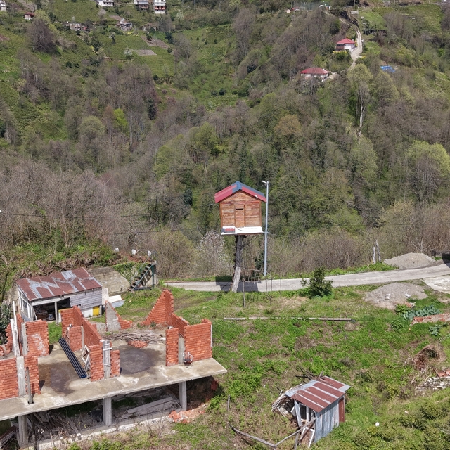 Çocukluk hayalini 25 yıl sonra gerçekleştirdi; 7 metre yüksekliğe ağaç ev y...