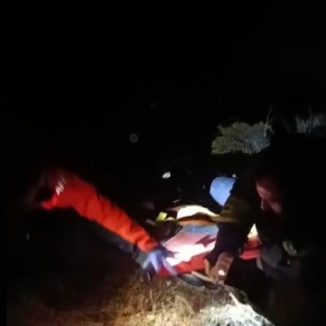 Erzincan'da uçurumdan düşen İran uyruklu vatandaş kurtarıldı