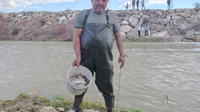 10 yıllık kuraklığın hakim olduğu çayda balık avladılar