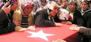 Adana'da şehit annesinin dramı: "Can verdim, evimde oturamıyorum"