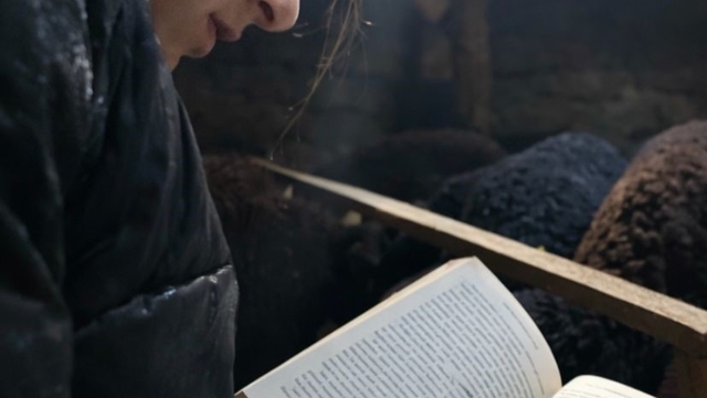 Gündüz hayvan bakıyor gece hayalleri için çalışıyor