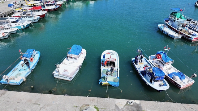 Batı Karadeniz ve Doğu Marmara'da balıkçılar bu sezon umduğunu bulamadı