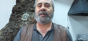 Balıkesir’de 1620 tarihi meşeye özel koruma