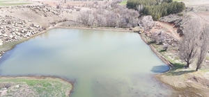 Tomarza'da yağışlar barajları doldurdu, çiftçinin yüzü güldü