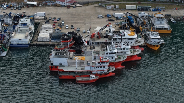 Balık av sezonu biterken, balıkçılar sezonu değerlendirdi
Karadeniz'de balıkçılar sezondan memnun: "Hamsi ve istavrit bolluğu yaşandı"