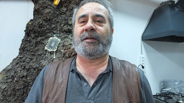 Balıkesir'de 1620 tarihi meşeye özel koruma