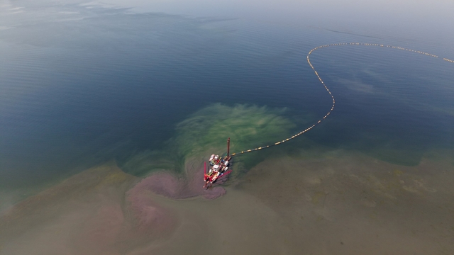 İzmit Körfezi'ndeki dip çamuru temizliği ekosistemi olumlu etkiledi