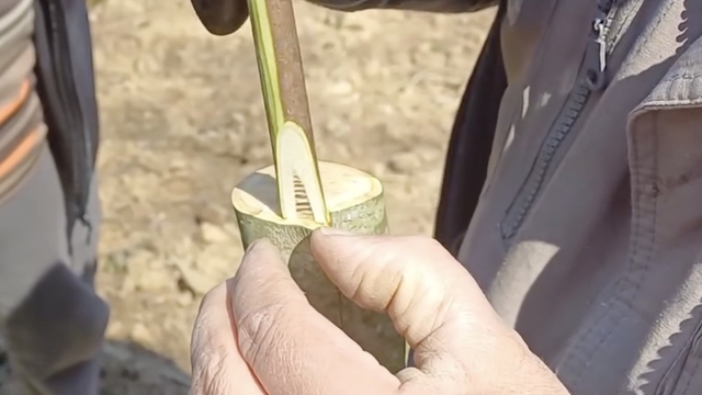 Çanakkale'de 'Aşı Akademisi'