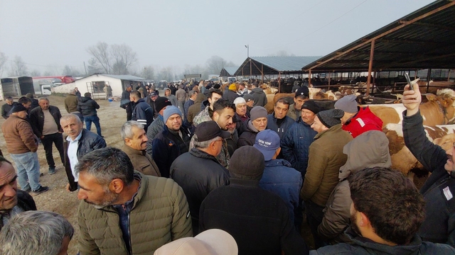 Hayvan pazarında hararetli pazarlık kamerada
"Eşeğin kulaklarını keserim, yine satarım"