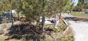 Kahramanmaraş'ta mezarlıklarda yenileme başladı