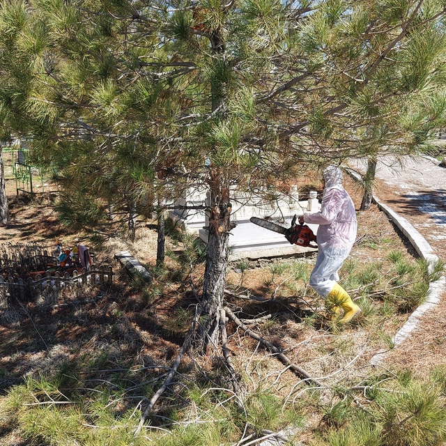 Kahramanmaraş'ta mezarlıklarda yenileme başladı