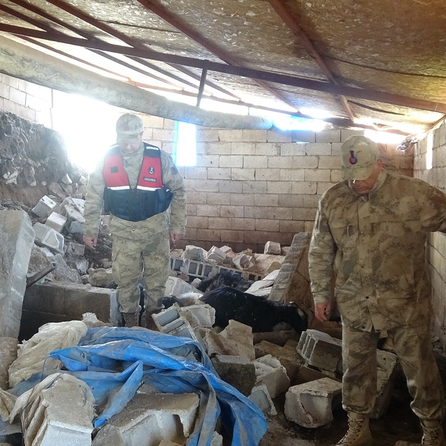 Kilis'te toprak kayması: Ahır çöktü, 40 hayvan telef oldu