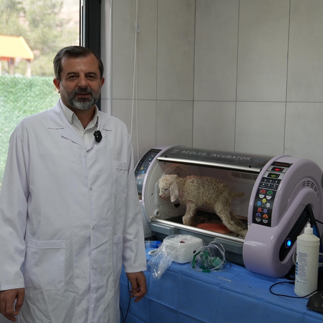 Gürsu Butik Hayvanat Bahçesi yeni sakinlerini ağırlıyor