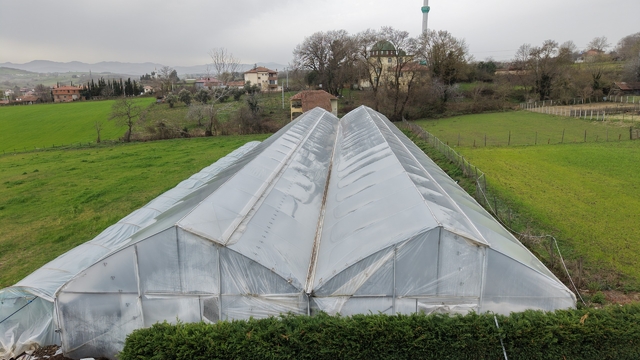 Samsun'da ev hanımının belediyenin desteğiyle kurduğu sera kadınlara istihdam sağlıyor
