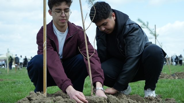 Geleceğe nefes olacak 2 bin fidan toprakla buluştu