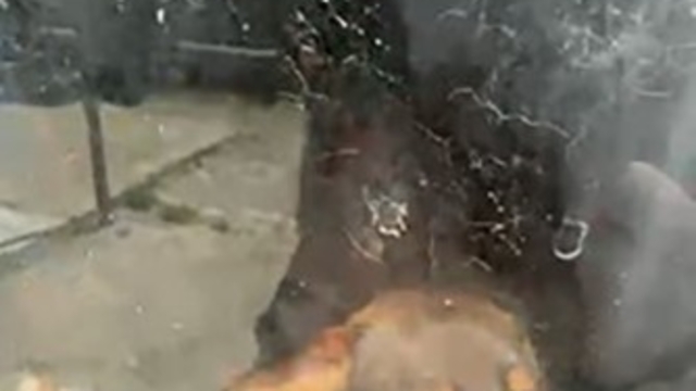 Kötü şartlarda evde tutulan hayvanlar, gençlerin tepkisi sonrası kurtarıldı
Kendisiyle tartışan gençlere silahını gösterdi, kiracı ile ve kötü şartlarda hayvanları içeride tutan kişi gözaltına alındı
Evde tutulan kedi ve köpekler ise mahallede yaşayan hayvansever gençler tarafından dışarı çıkarıldı