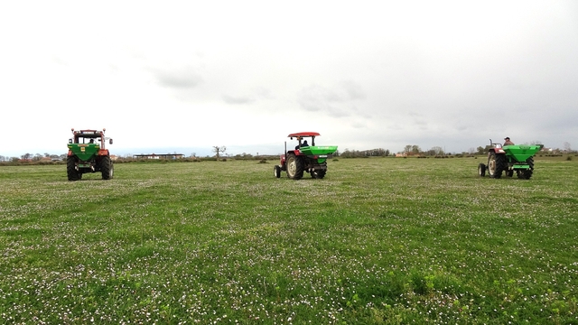 Samsun'da meralarda ıslah çalışmaları sürüyor
