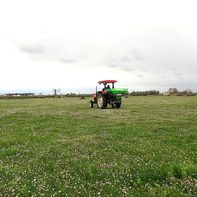 Samsun'da meralarda ıslah çalışmaları sürüyor
