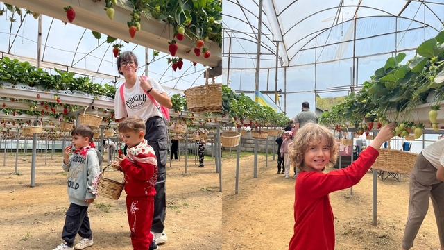 ALKÜ'lü minikler fidan dikip çilek topladı