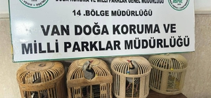Van'da keklik avlayan şahsa 86 bin 278 lira para cezası