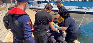 Fethiye’de koyda rahatsızlanan vatandaşa tıbbi tahliye