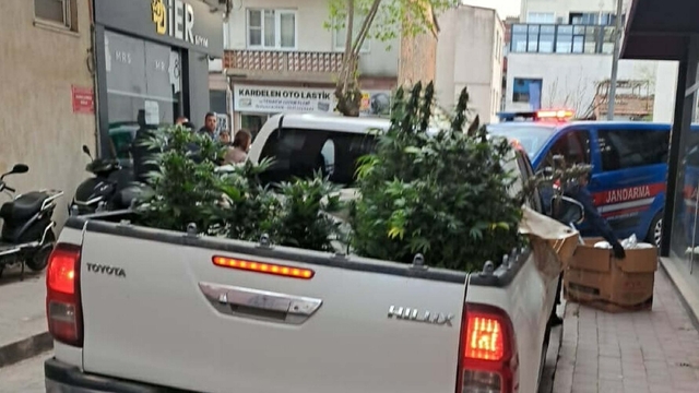 Apartman dairesinde uyuşturucu yetiştiren şüpheli yakalandı