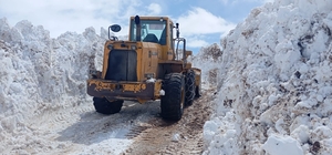 Bingöl'de metrelerce karla mücadele