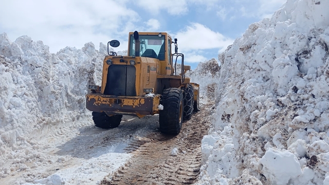 Bingöl'de metrelerce karla mücadele