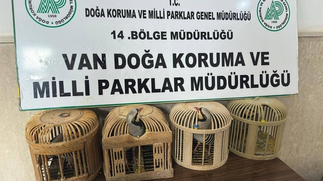 Van'da keklik avlayan şahsa 86 bin 278 lira para cezası