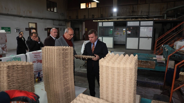 Erzincan'dan Türkiye'ye viyol üretimi