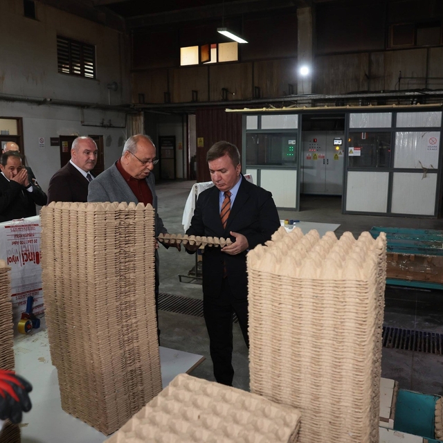 Erzincan'dan Türkiye'ye viyol üretimi