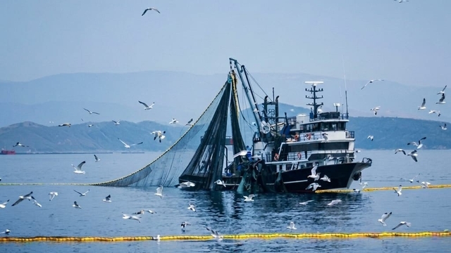 Denizlerde av yasağı 15 Nisan'da başlıyor