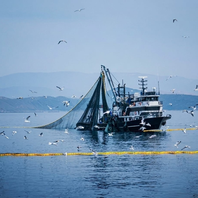 Denizlerde av yasağı 15 Nisan'da başlıyor
