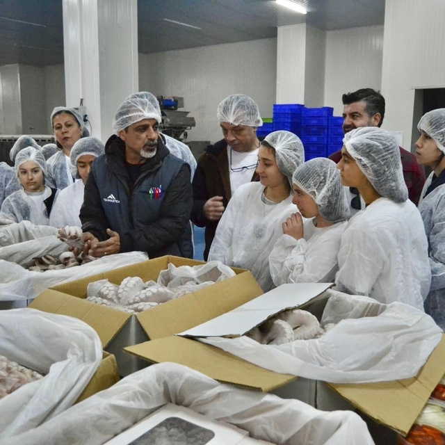 Geleceğin balıkçıları İzmir'de yetişiyor
"Yeni nesil balıkçı çocuklar" deni...