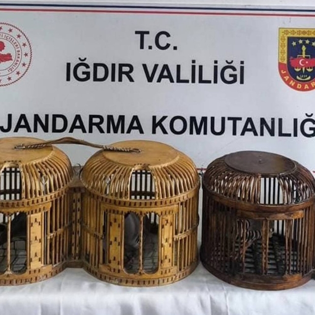 Iğdır'da kaçak keklik avına suçüstü: 72 bin TL ceza