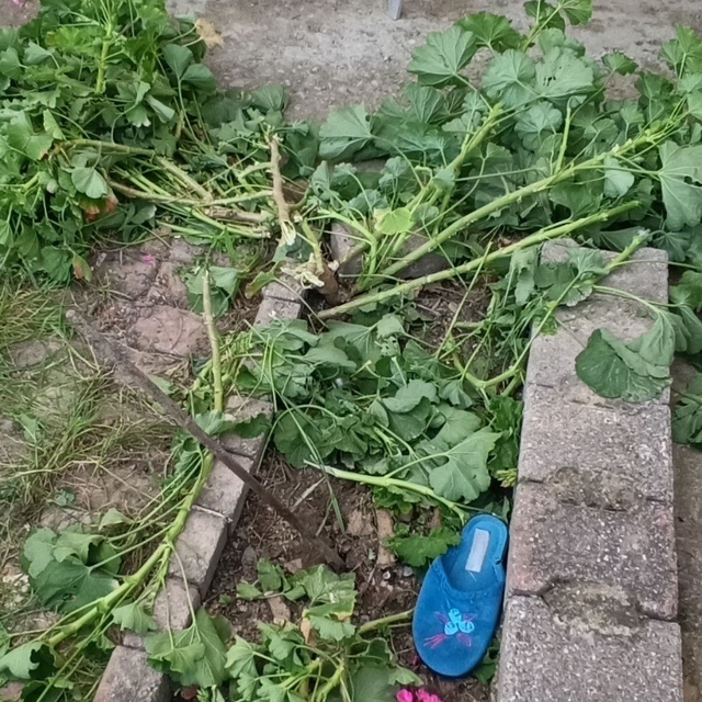Antalya'da küçük çocuk ikinci kattan düştü, olayı kırıklarla atlattı
Beton...