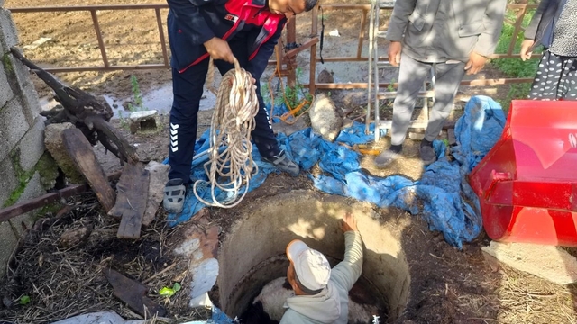 Kuyuya düşen buzağı zorlu çalışmayla kurtarıldı