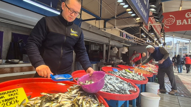 Güney Marmara ve Kuzey Ege'de balıkçılar bereketli sezona rağmen umduğunu bulamadı