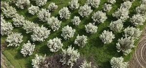 İnegöl'de kartpostallık görüntüler