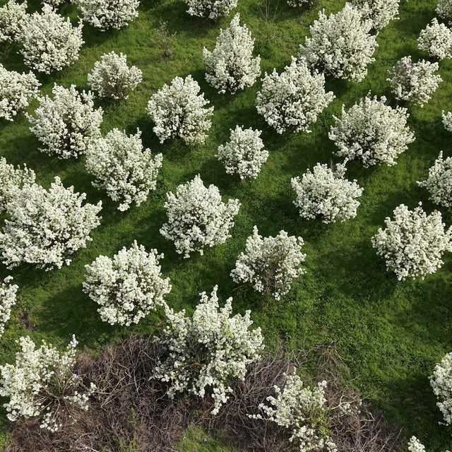 İnegöl'de kartpostallık görüntüler