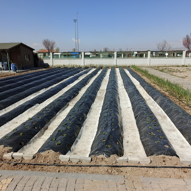 Büyükşehirin Doğal Ürünler Bahçesi ve Pazarı'nda yeni sezon hazırlığı