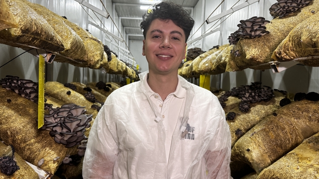 Genç avukat kurduğu mantar tesisiyle üretime katkı sağlıyor