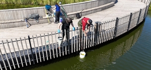 İzmit Millet Bahçesi göletinde bilimsel iyileştirme çalışması başladı