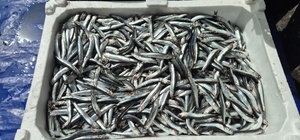 Av yasağı öncesi pazarda yoğunluk