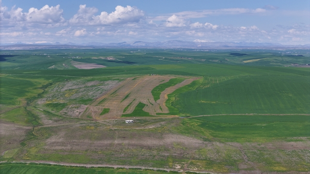 Jandarma eşliğinde ektiği 250 dönüm tarla iddiaya göre akrabaları tarafından ilaçlanarak kurutuldu
Diyarbakır'da 250 dönüm ekili tarla kimliği belirsiz kişi veya kişilerce ilaçlanarak kurutuldu