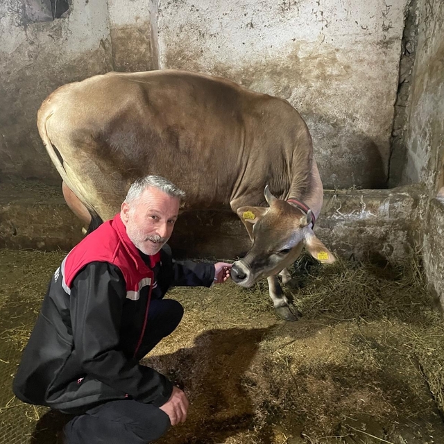 Danimarka ve Amerika'dan getirildiler, Of'a kısa sürede uyum sağladılar
Ame...