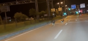 Hastane kavşağına çıkan karacalar kamerada