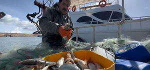 Van Gölü’nde inci kefali için av yasağı: Kaçak avlanmanın cezası 16 bin TL Van Gölü'nde inci kefali av yasağı bu gece başlıyor