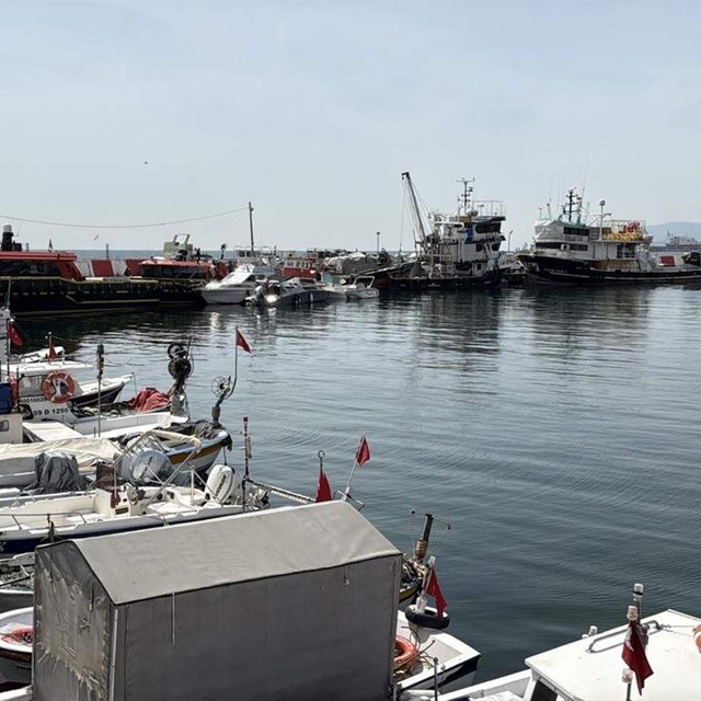 Tekirdağ'da balıkçılar, sezondan memnun